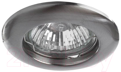 Точечный светильник Arte Lamp Raktisch A1203PL-1SS - фото