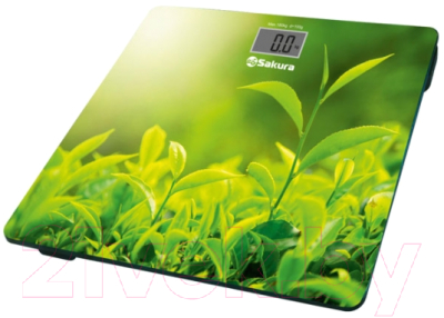Напольные весы электронные Sakura SA-5071GR - фото