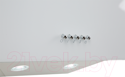 Вытяжка наклонная Making Oasis Everywhere NP-60W (FR)