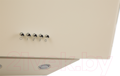 Вытяжка наклонная Making Oasis Everywhere NP-50I (FR)