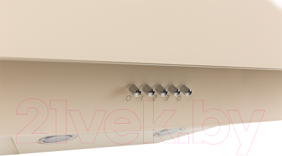 Вытяжка наклонная Making Oasis Everywhere NS-60I (FR)