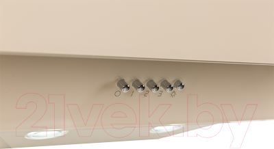 Вытяжка наклонная Making Oasis Everywhere NS-60I (FR)