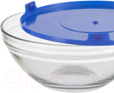 Набор контейнеров Gipfel Camelia 6208