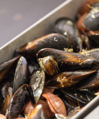 Коландер для мойки Franke 112.0066.060