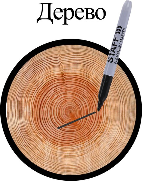 Набор маркеров Staff Everyday / 151237