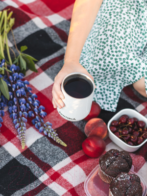 Термокружка Арктика 809-220