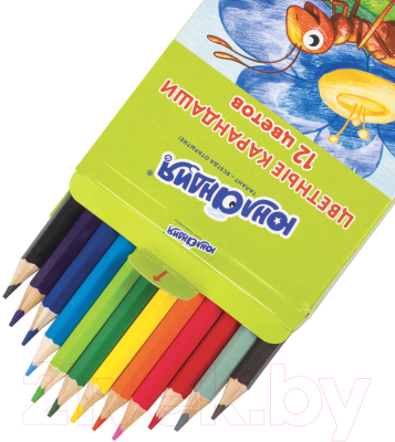 Набор цветных карандашей Юнландия В гостях у букашек / 181378
