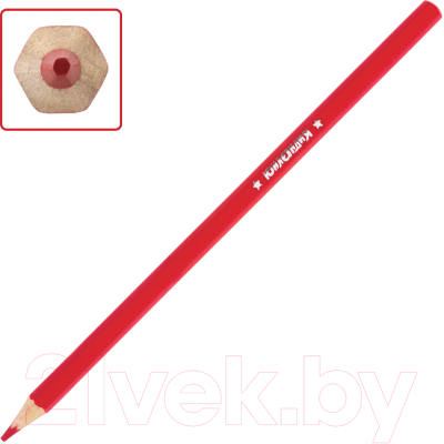 Набор цветных карандашей Юнландия Мир животных / 181383