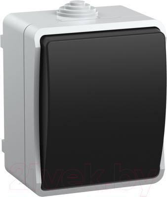 Выключатель IEK EVS10-K03-10-54-DC - фото