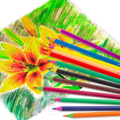 Набор цветных карандашей Юнландия Карнавал / 181684