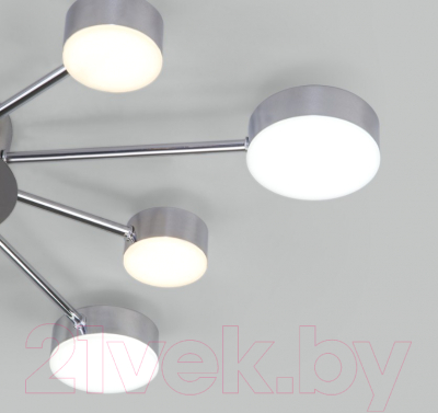 Потолочный светильник Евросвет 90242/10 (хром)