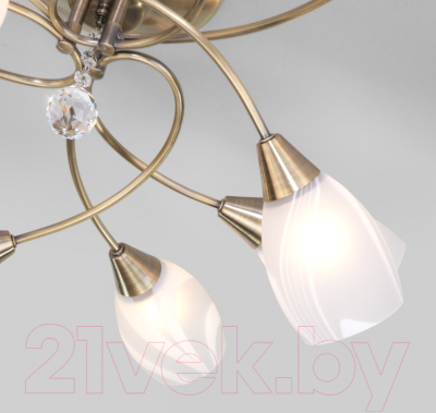 Люстра Евросвет 2275/9