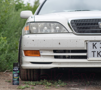 Очиститель гудрона и cледов насекомых Lavr Антимуха / Ln1430