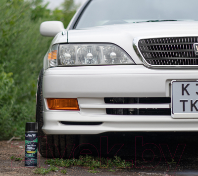 Очиститель гудрона и cледов насекомых Lavr Антимуха / Ln1430