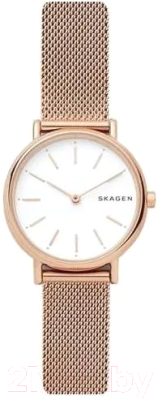 Часы наручные женские Skagen SKW2694 - фото