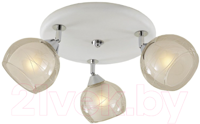 Люстра Citilux Самба CL158131 - фото