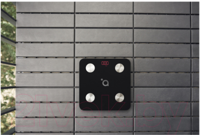 Напольные весы электронные Acme SC101