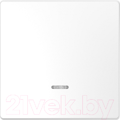 Клавиша для выключателя Schneider Electric Merten MTN3320-6035 - фото