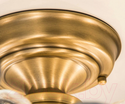 Люстра Citilux Серенада CL315183