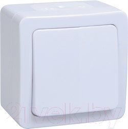 Выключатель IEK Гермес Plus EVMP10-K01-10-54-EC - фото