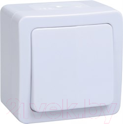 Выключатель IEK Гермес Plus EVMP13-K01-10-54-EC - фото