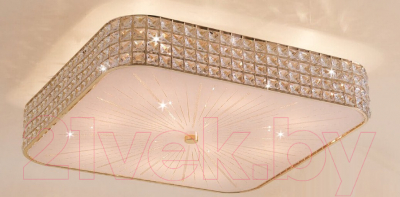 Потолочный светильник Citilux Портал CL324202