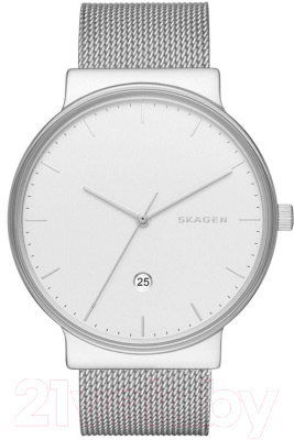 Часы наручные мужские Skagen SKW6290 - фото