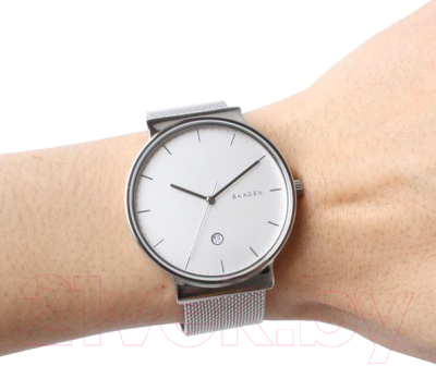 Часы наручные мужские Skagen SKW6290