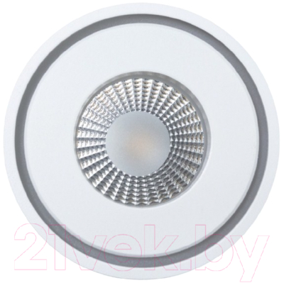 Точечный светильник Arte Lamp Ain A7248PL-1WH