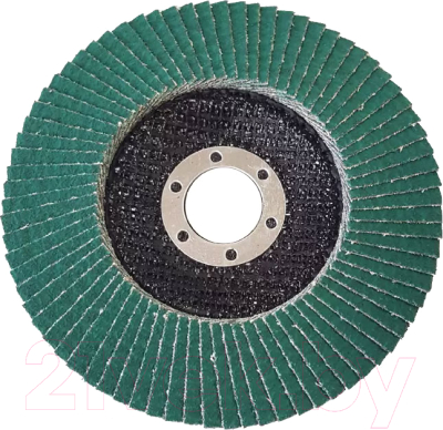 Шлифовальный круг БаЗ A00019960