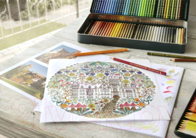 Набор цветных карандашей Faber Castell Polychromos / 110011