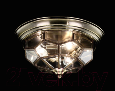 Потолочный светильник Citilux Витра-1 CL442530