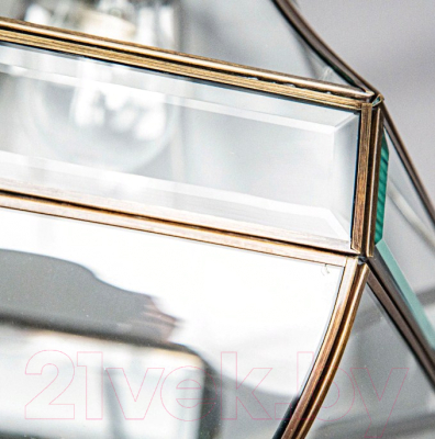 Потолочный светильник Citilux Гера-1 CL444110