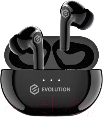 Беспроводные наушники Evolution BH510 - фото