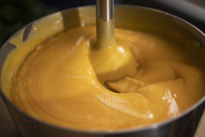 Блендер погружной Moulinex DD46E810