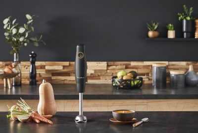 Блендер погружной Moulinex DD46E810