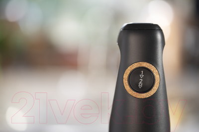 Блендер погружной Moulinex DD46E810