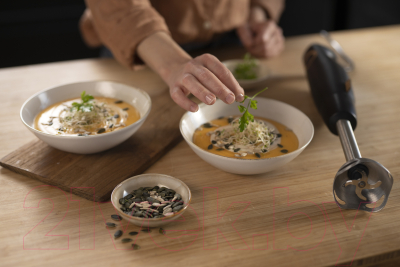 Блендер погружной Moulinex DD46E810