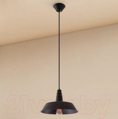 Потолочный светильник Citilux Эдисон CL450204