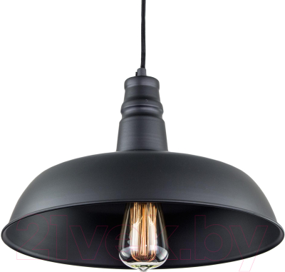 Потолочный светильник Citilux Эдисон CL450204