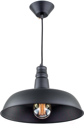 Потолочный светильник Citilux Эдисон CL450204