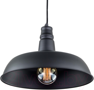 Потолочный светильник Citilux Эдисон CL450204