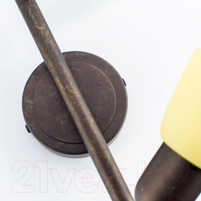 Спот Citilux Ронда CL506524