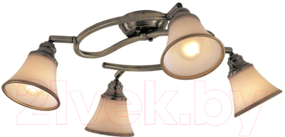 Спот Citilux Прованс CL511143 - фото