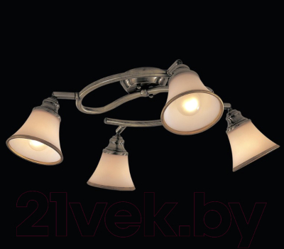 Спот Citilux Прованс CL511143