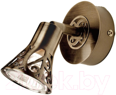 Спот Citilux Винон CL519513 - фото