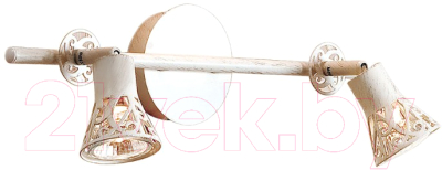 Спот Citilux Винон CL519525 - фото