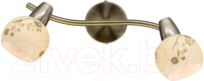 Спот Citilux Соната CL520523 - фото