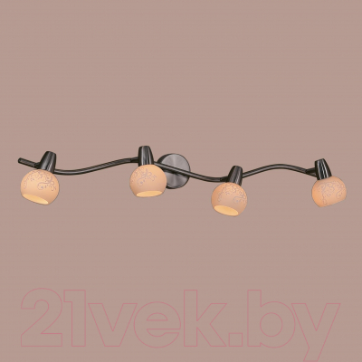 Спот Citilux Соната CL520541