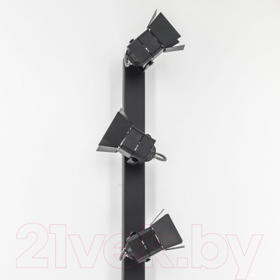 Спот Citilux Рубик CL526542S